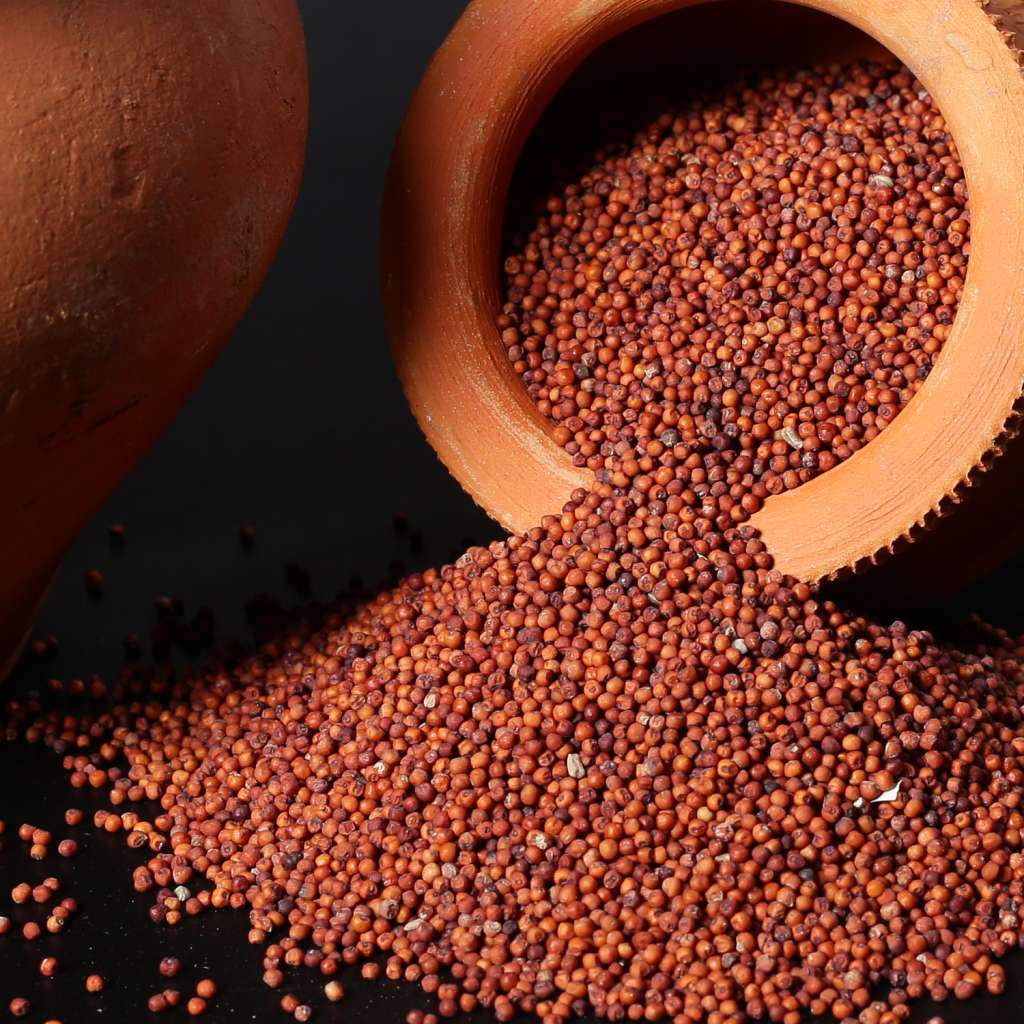 Unlock the Nutritional Powerhouse: 5 Amazing Health Benefits of Ragi (Finger Millet)