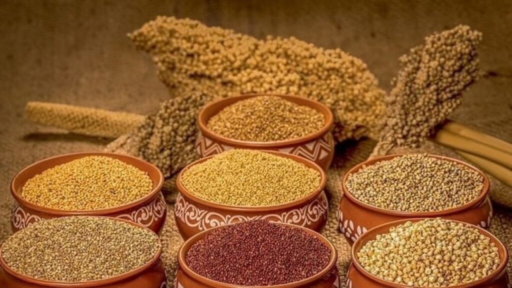 sanjeevani millets