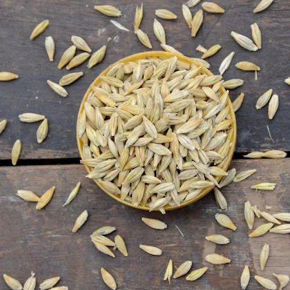 Discover the Power of Barley (Jau): 5 Science-Backed Health Benefits