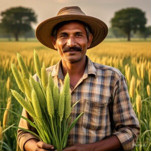 Millet Prices Per Kg: 2024 Update
